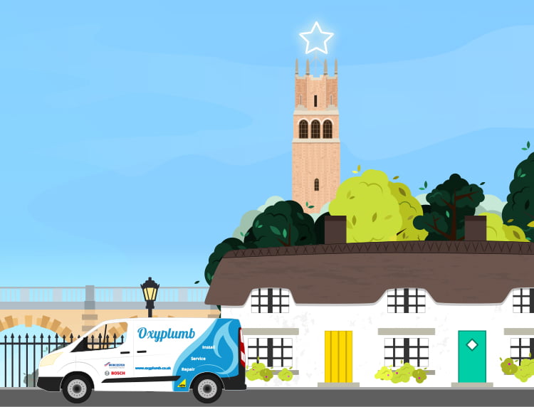 Custom Illustrations For WordPress Websites