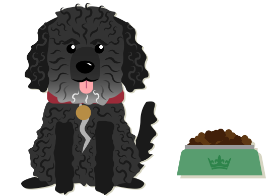 KHS Heating and Plumbing Bear the dog