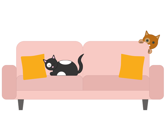 Liverpool heating boiler installers cats on sofa