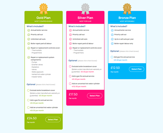 Bespoke Boiler Care Plan Website Page