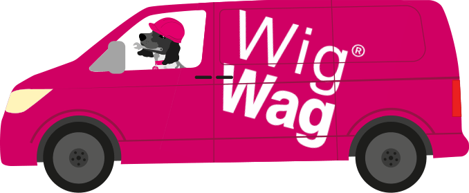 WigWag vehicle design experts in Nottingham