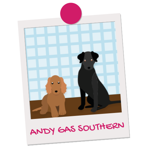 Andy gas southern pet illustration