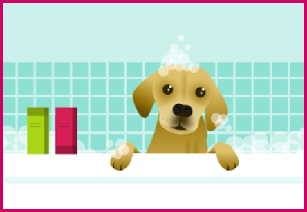 Bespoke pet illustrations WigWag