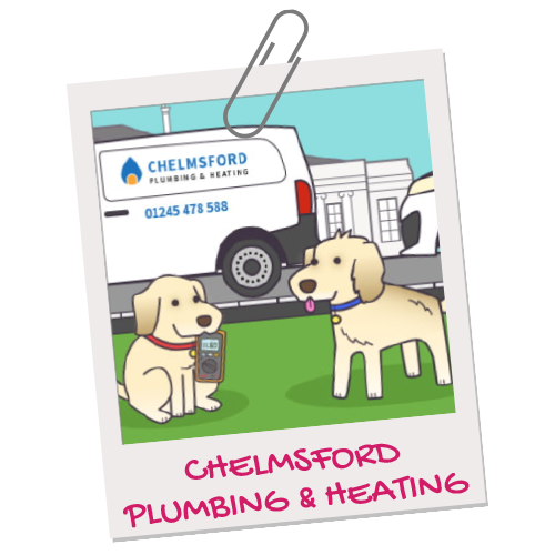 Chelmsford plumbing and heating pet illustration