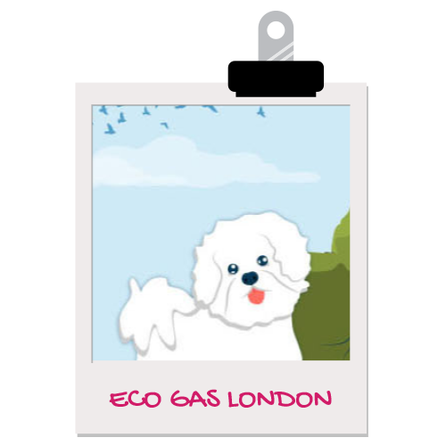 Eco Gas London pet illustration