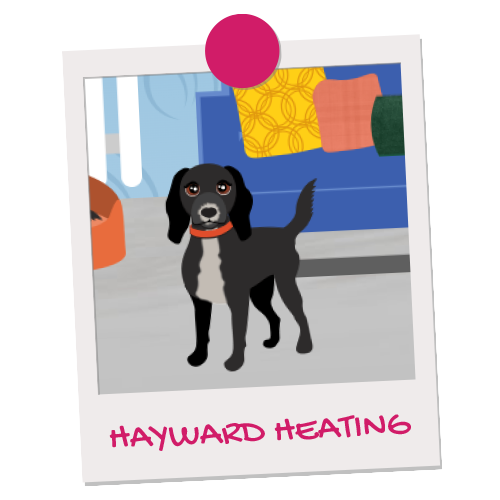 Hayward heating pet illustration