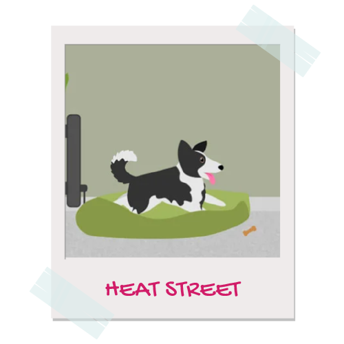 Heat Street pet illustration