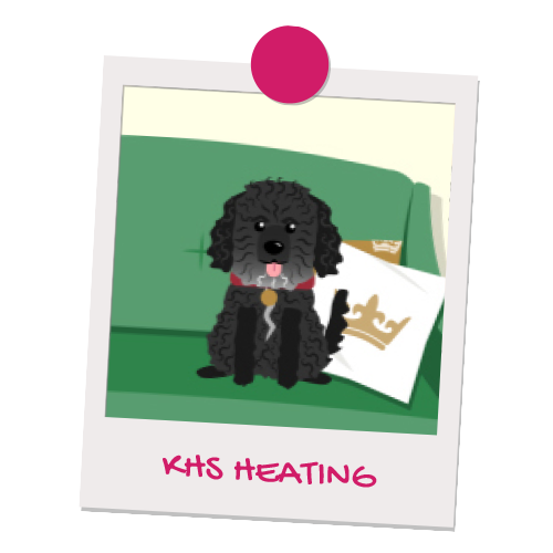 KHS heating pet illustration