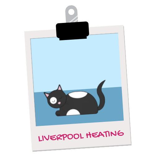 Liverpool heating pet illustration