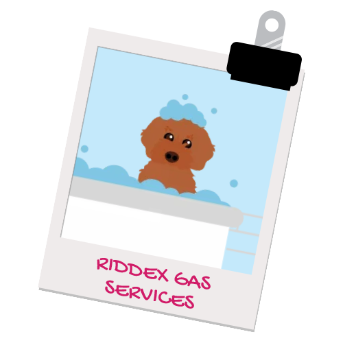 Riddex gas services pet illustration