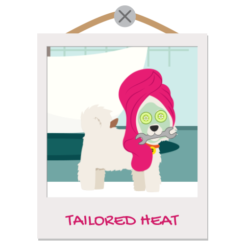 Tailored Heat pet illustration