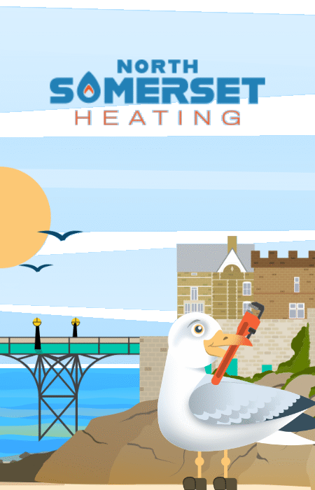 North Somerset Case Study