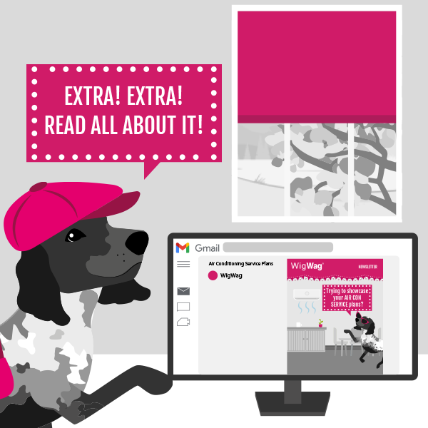 Professional mailshot services WigWag