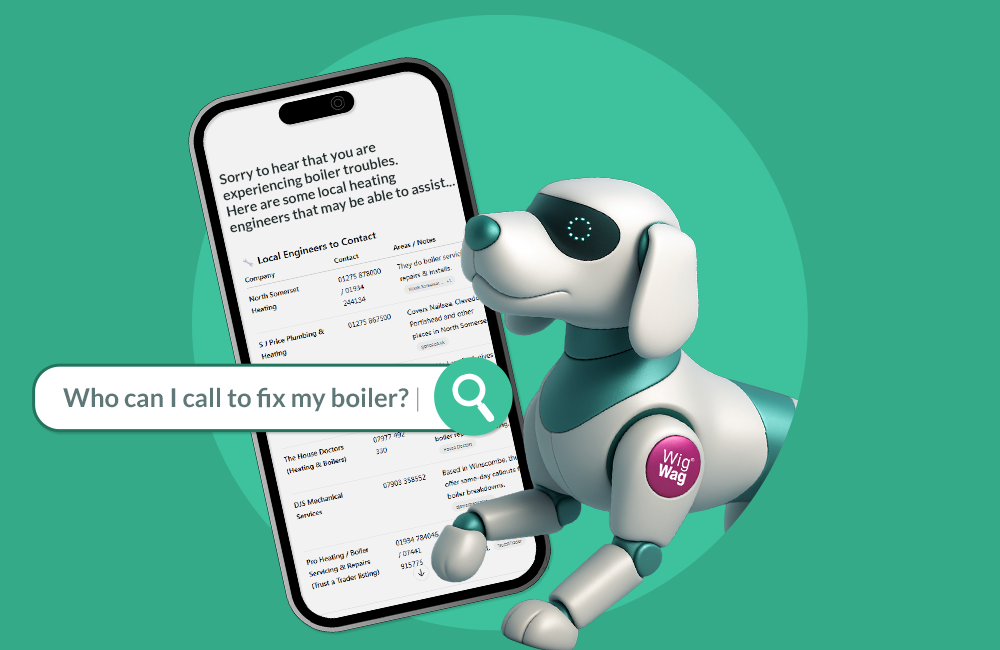 AI and SEO tools